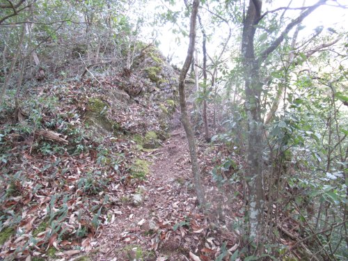 登山道